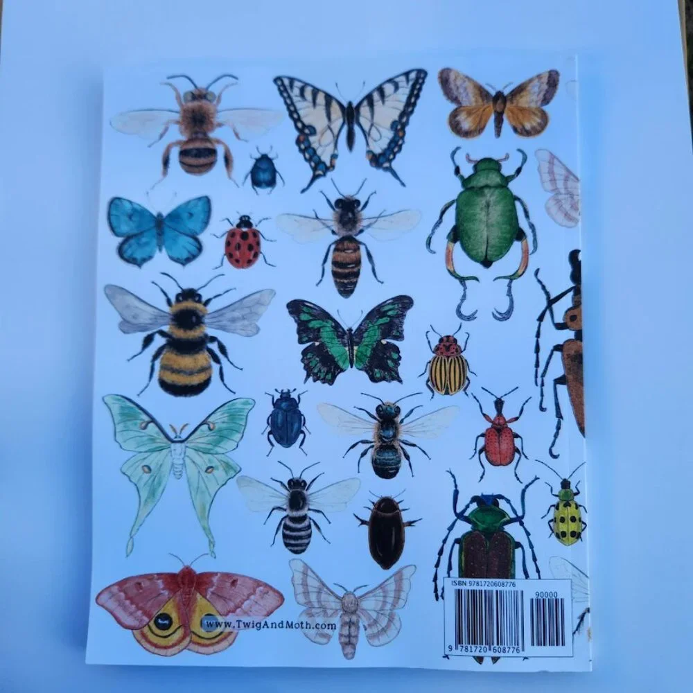 NEW Nature Journal Drawing Book Kids Workbook for Children Insects Insect Bees B